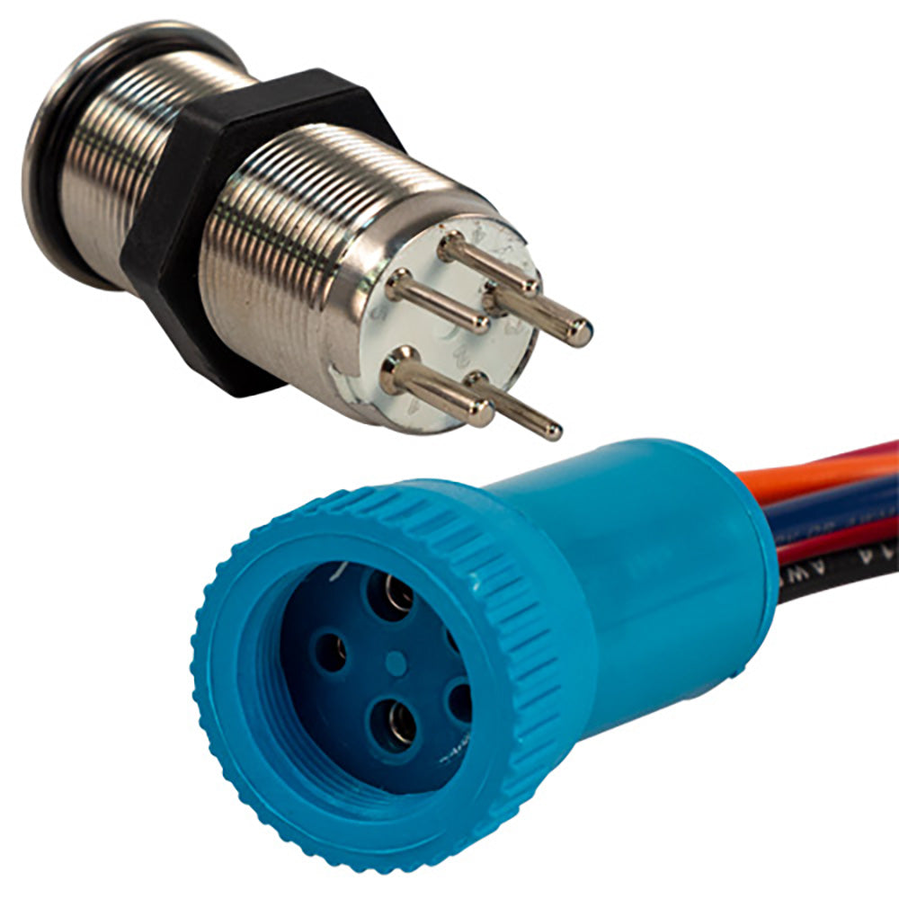 Bluewater 19mm In Rush Push Button Switch - Off/(On) Momentary Contact - Blue/Red LED [9057-2113-1]